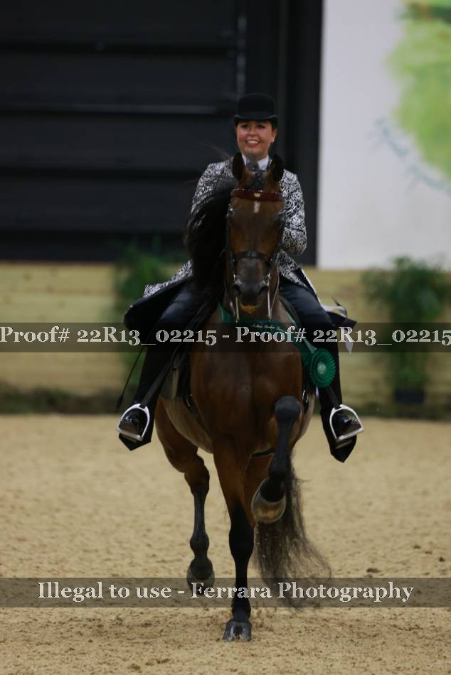 Proof 22R13_02215