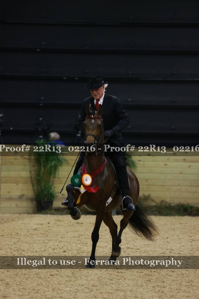 Proof 22R13_02216