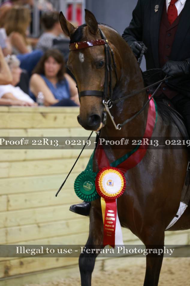 Proof 22R13_02219