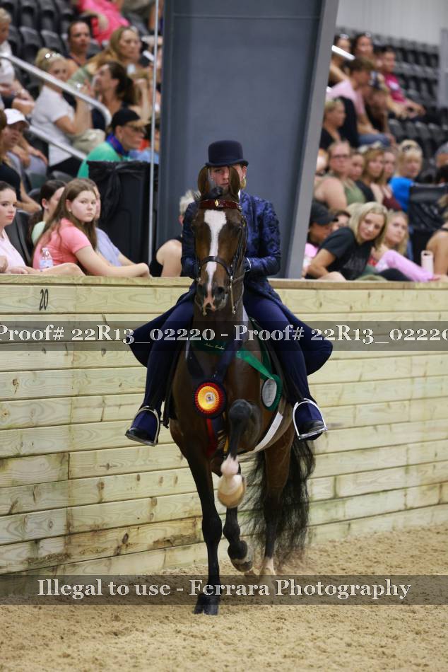 Proof 22R13_02220
