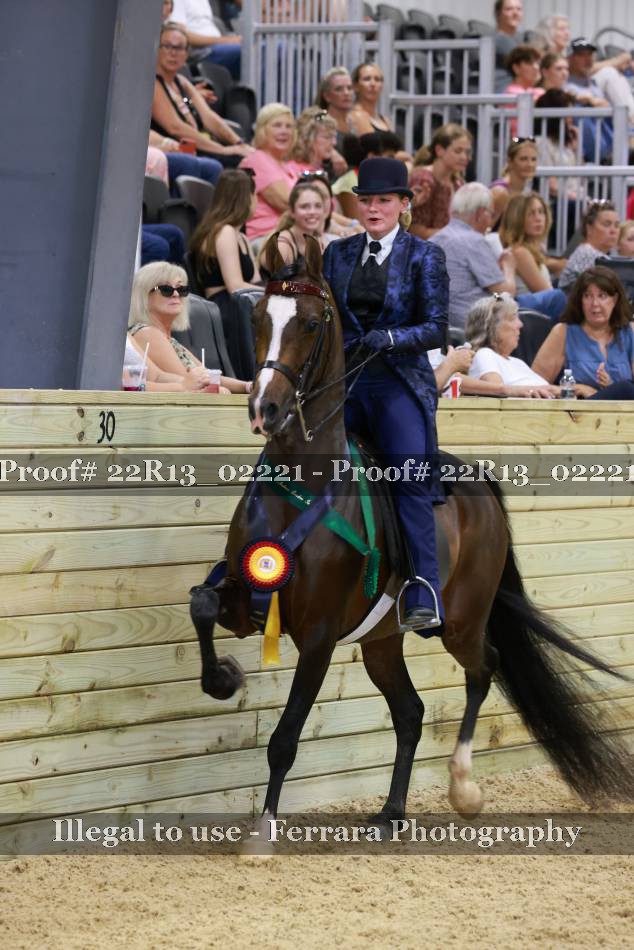 Proof 22R13_02221