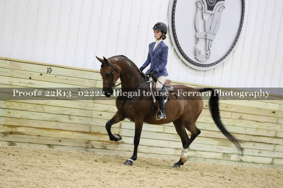 Proof 22R13_02222