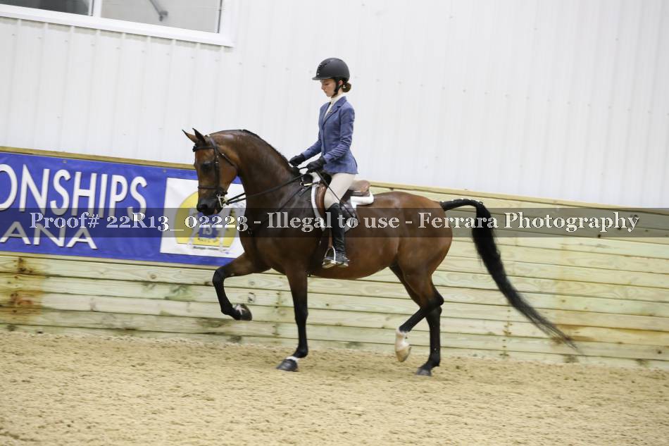 Proof 22R13_02223