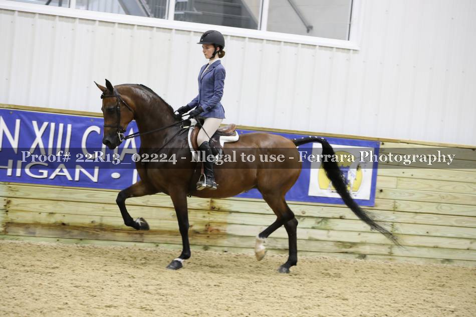 Proof 22R13_02224