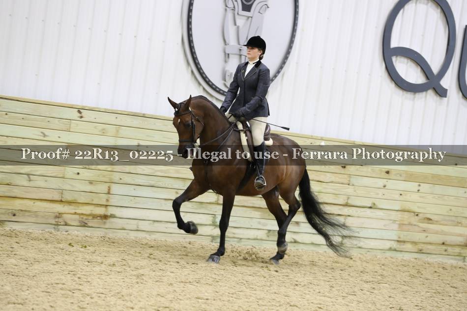 Proof 22R13_02225