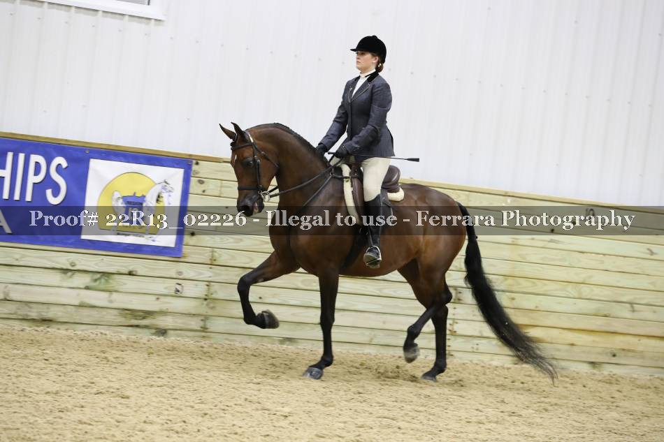 Proof 22R13_02226