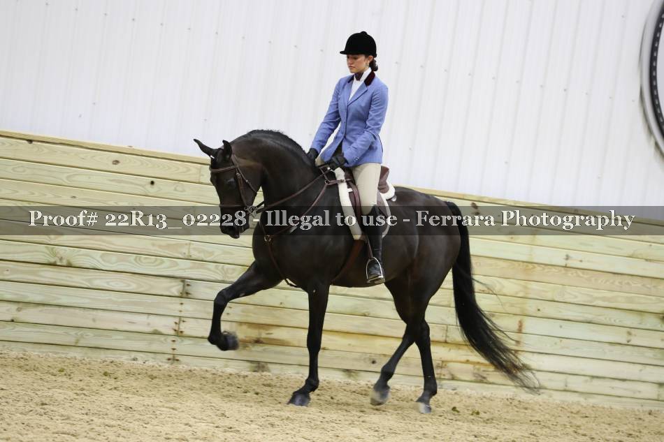 Proof 22R13_02228