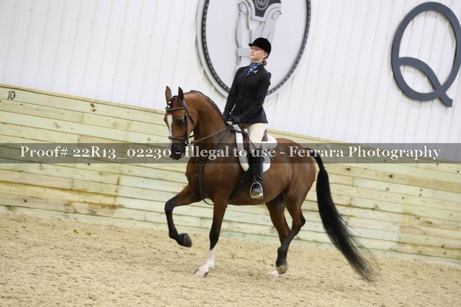 Proof 22R13_02230