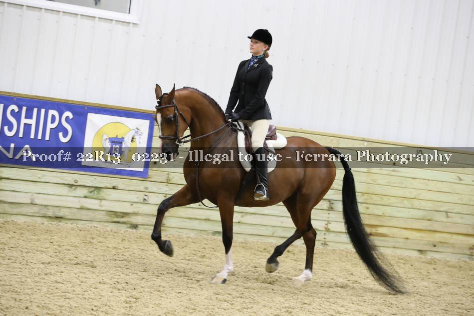 Proof 22R13_02231