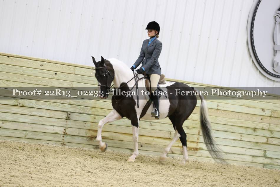 Proof 22R13_02233
