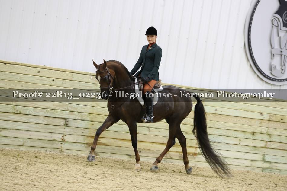Proof 22R13_02236