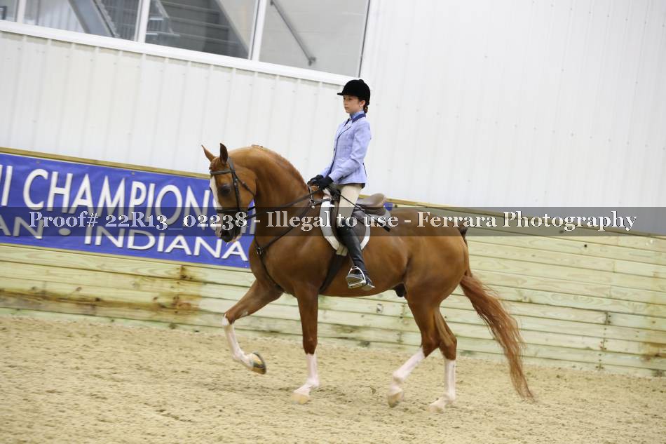 Proof 22R13_02238