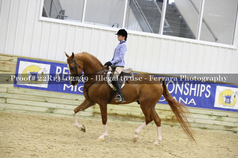 Proof 22R13_02239