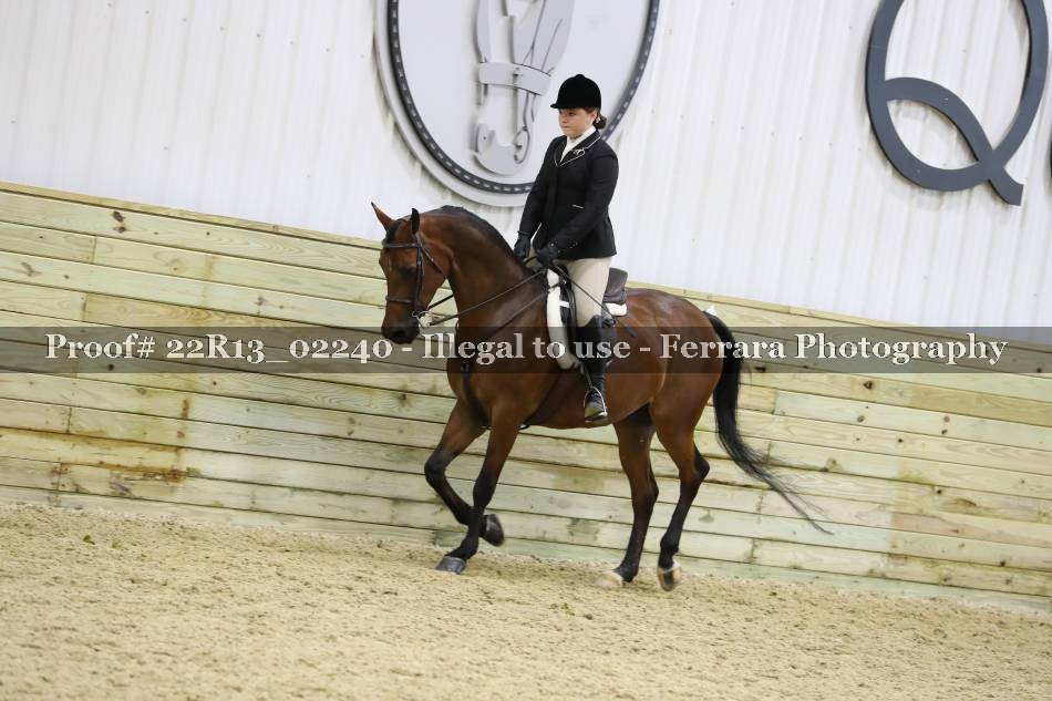 Proof 22R13_02240
