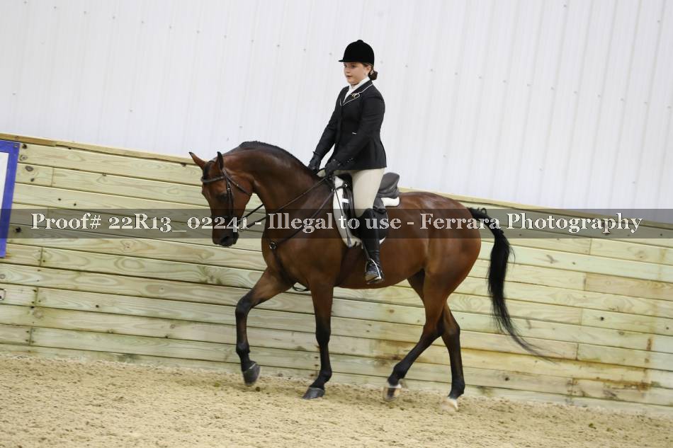 Proof 22R13_02241