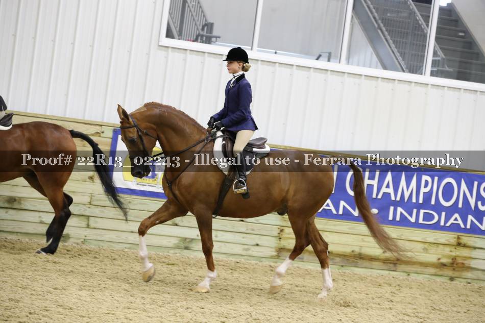Proof 22R13_02243