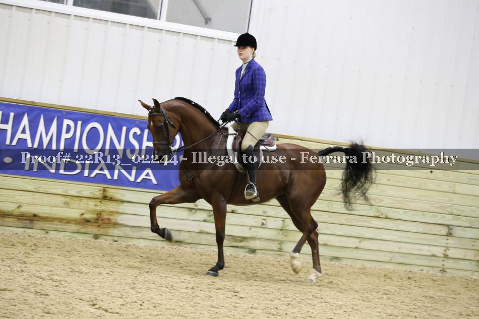 Proof 22R13_02244