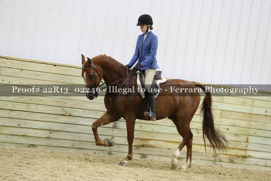 Proof 22R13_02246