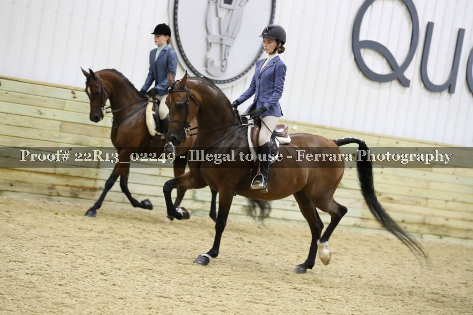 Proof 22R13_02249