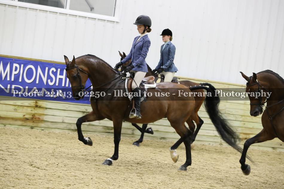 Proof 22R13_02250