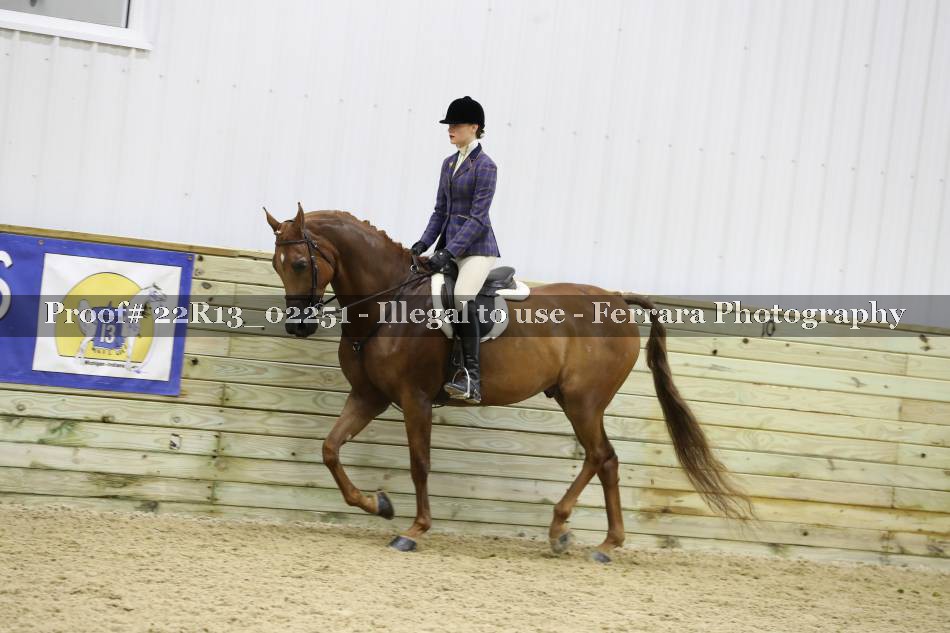 Proof 22R13_02251