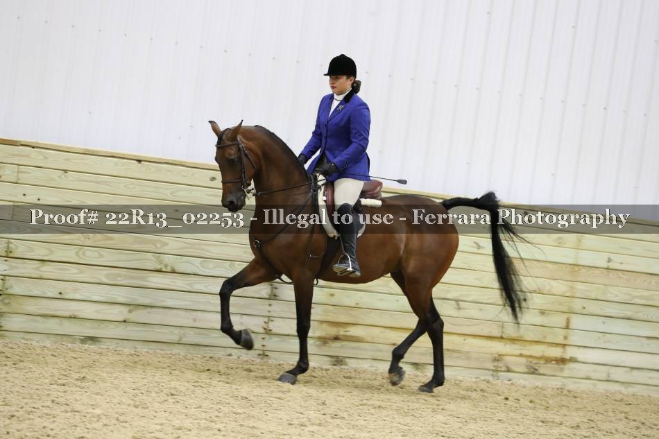 Proof 22R13_02253