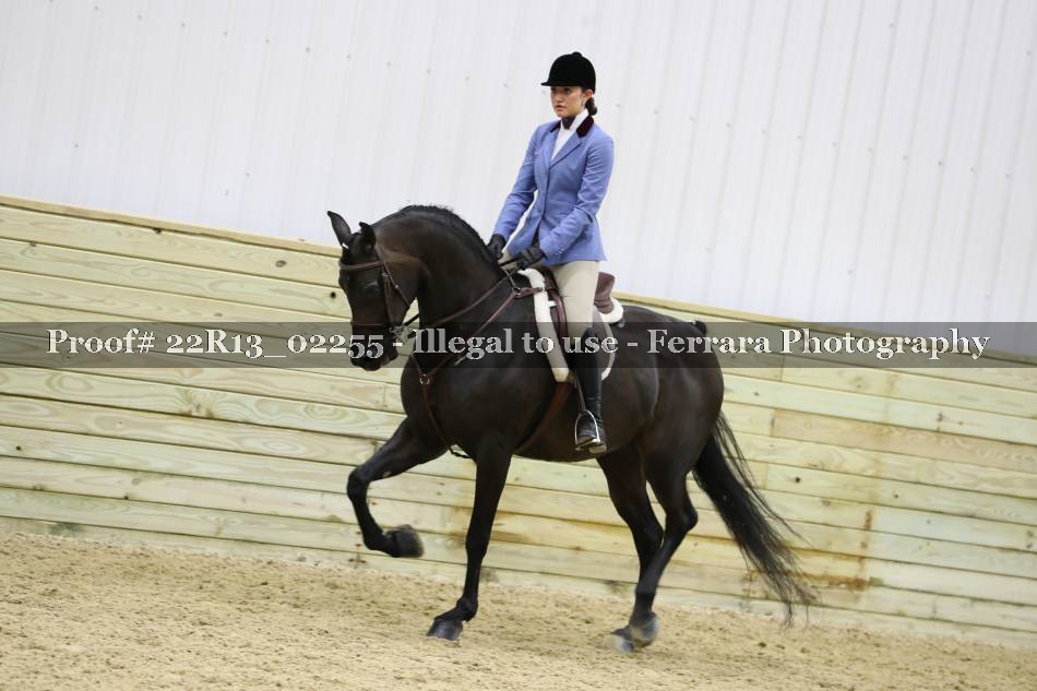 Proof 22R13_02255