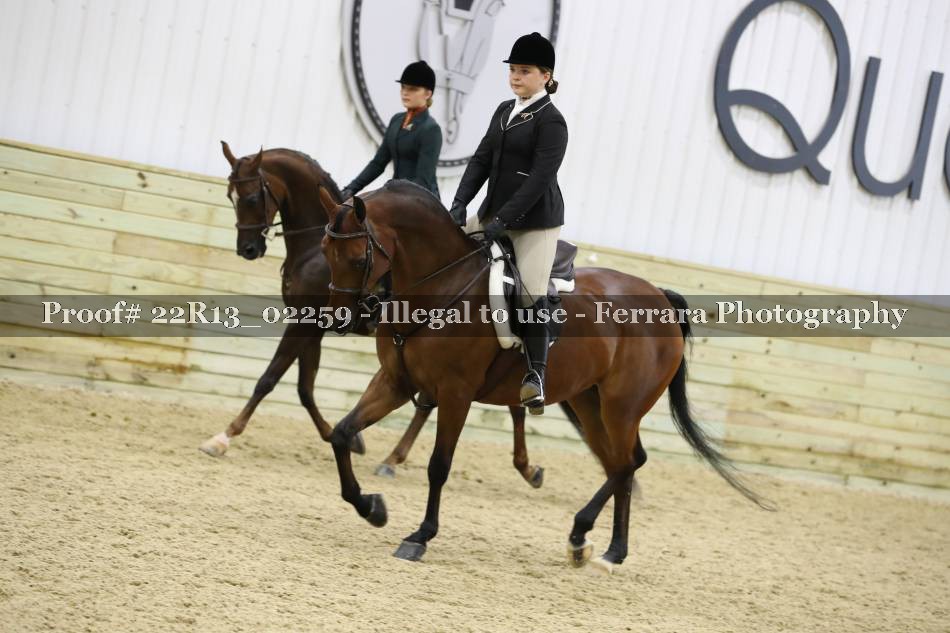 Proof 22R13_02259