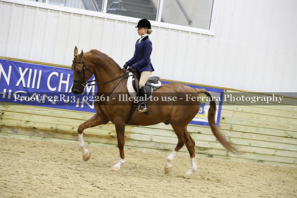 Proof 22R13_02261