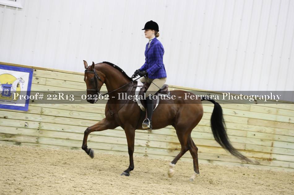 Proof 22R13_02262