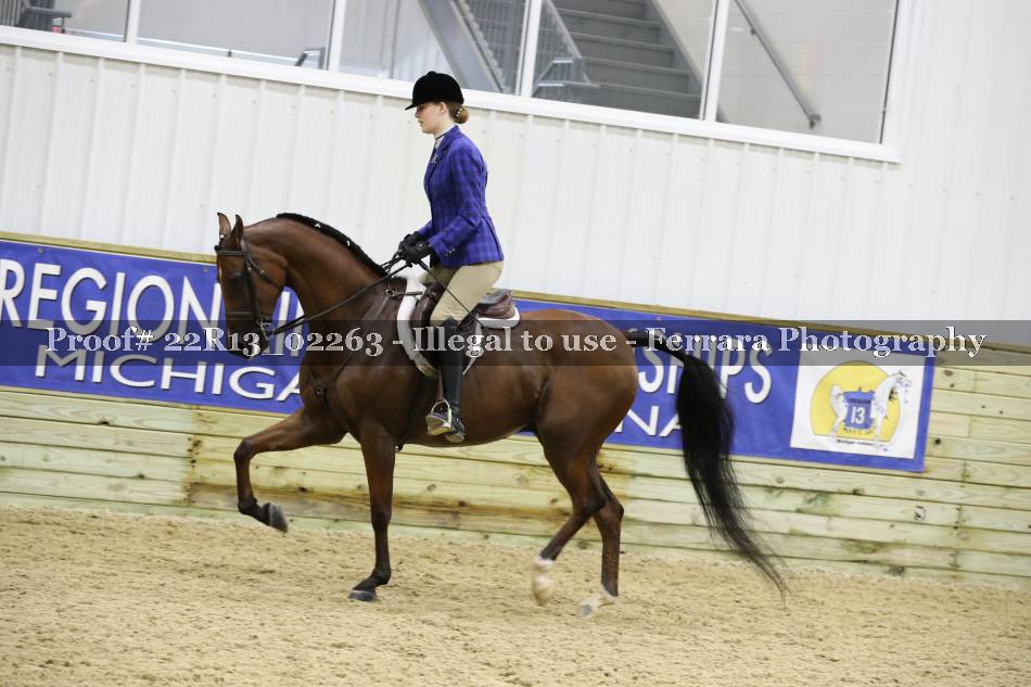 Proof 22R13_02263