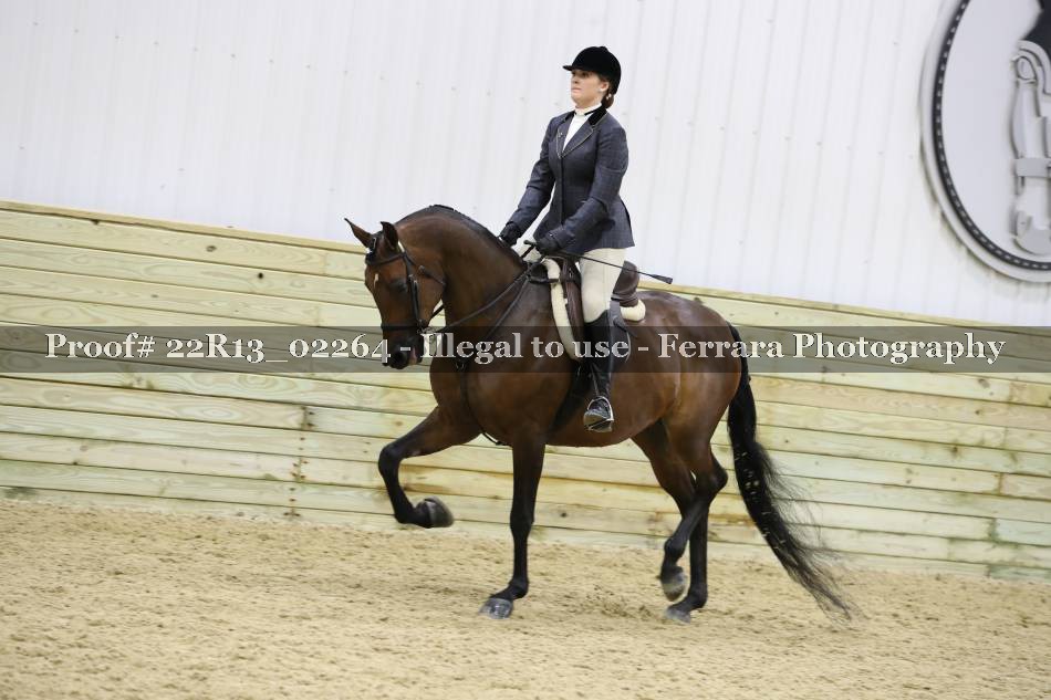 Proof 22R13_02264