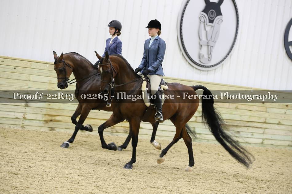 Proof 22R13_02265
