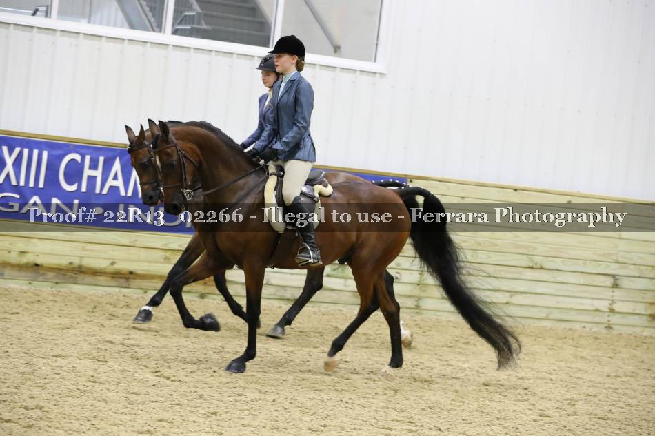 Proof 22R13_02266