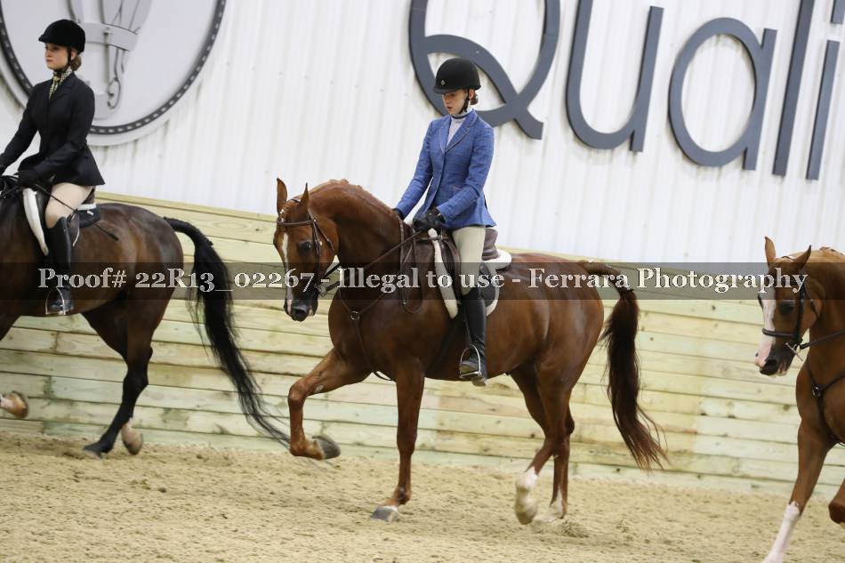 Proof 22R13_02267