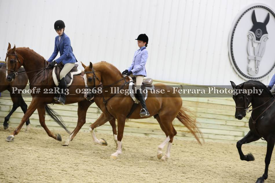 Proof 22R13_02268
