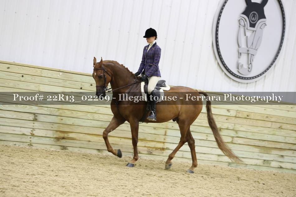 Proof 22R13_02269