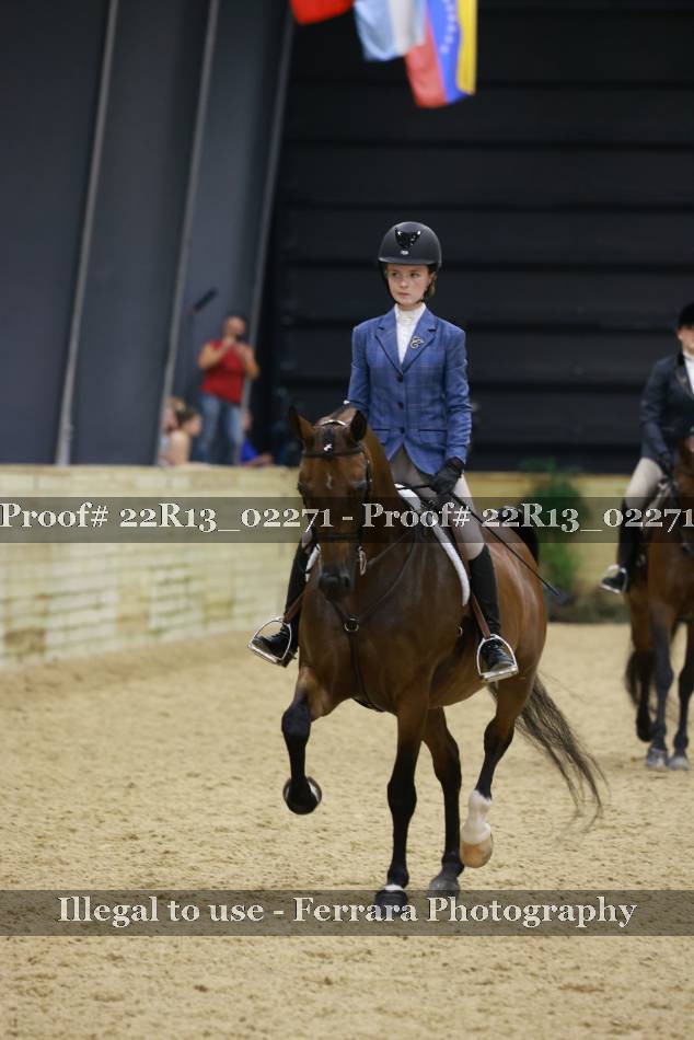 Proof 22R13_02271