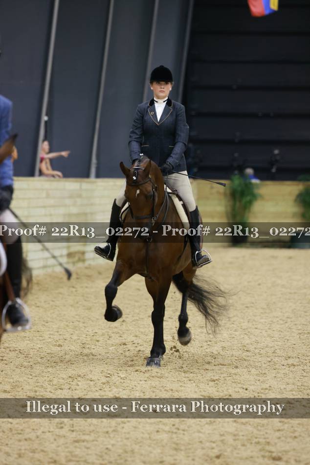 Proof 22R13_02272