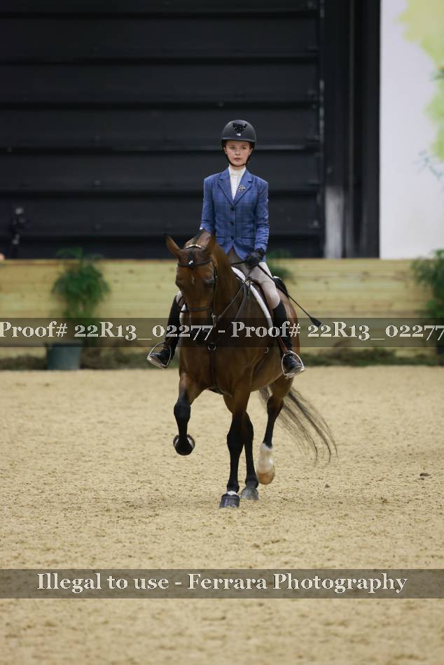 Proof 22R13_02277