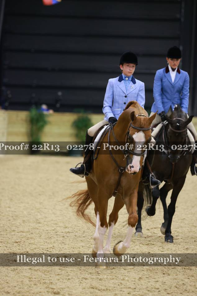 Proof 22R13_02278