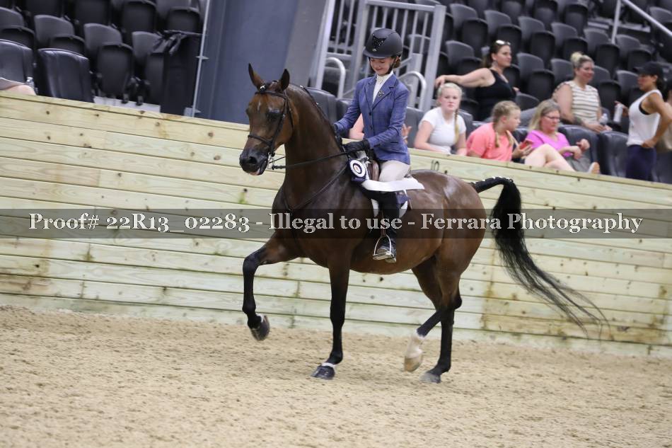 Proof 22R13_02283