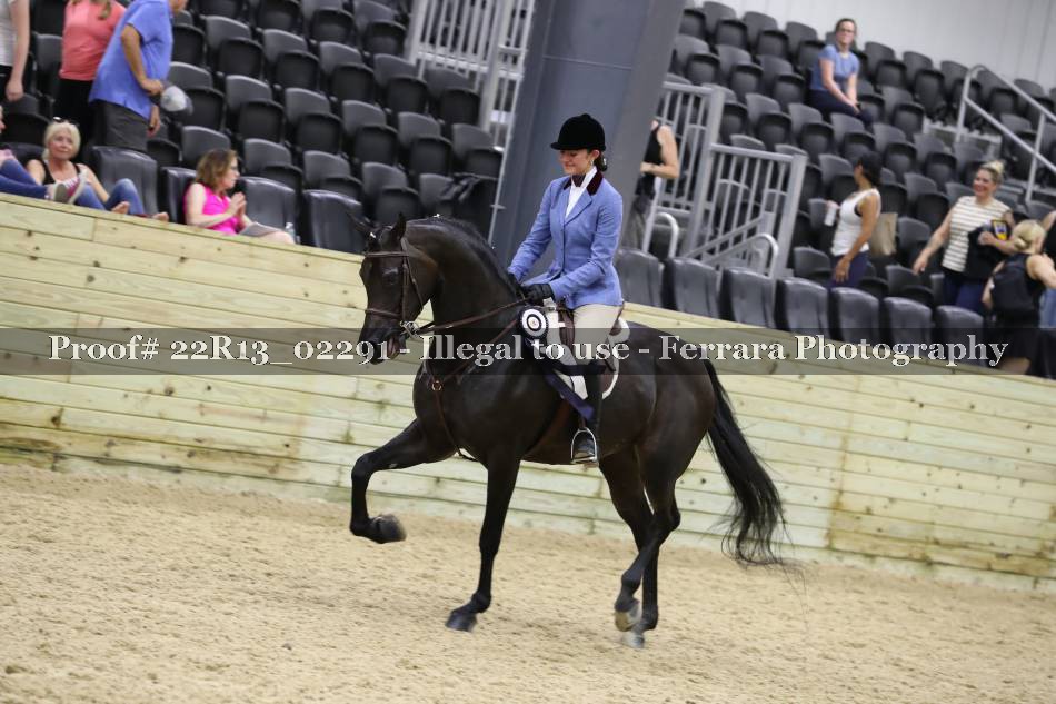 Proof 22R13_02291