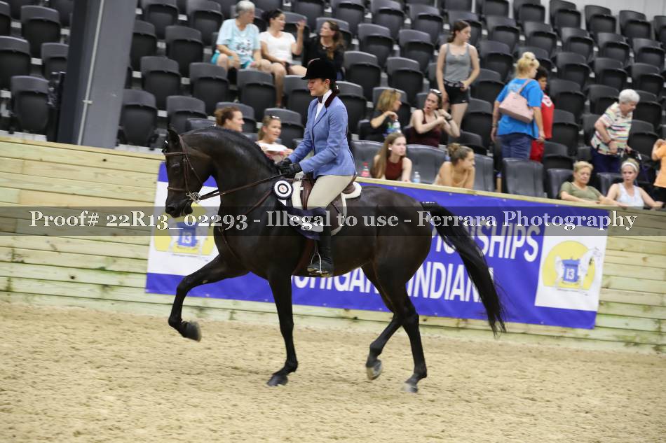 Proof 22R13_02293