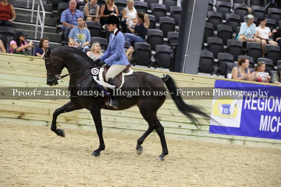 Proof 22R13_02294