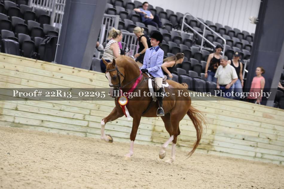 Proof 22R13_02295