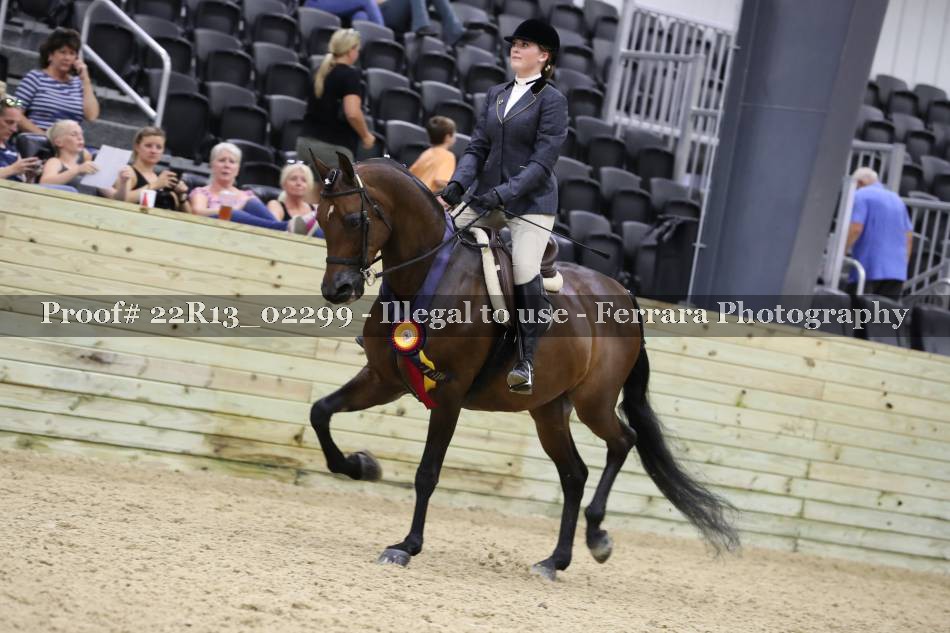 Proof 22R13_02299