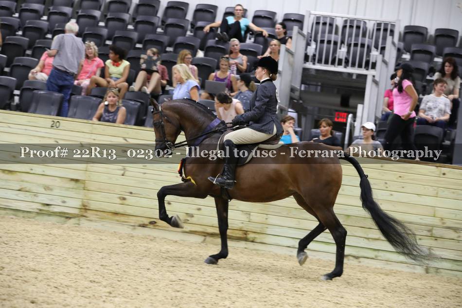 Proof 22R13_02302