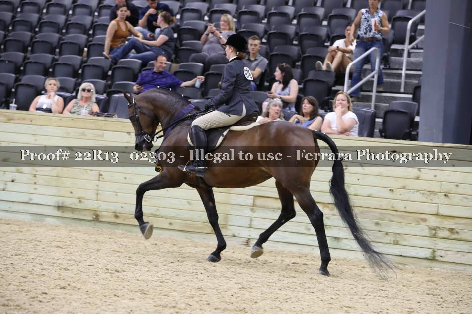 Proof 22R13_02303