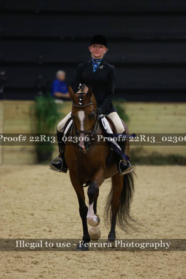Proof 22R13_02306